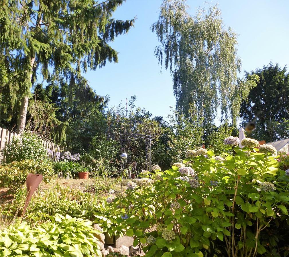 Schwalbennest Appartement Geesthacht Buitenkant foto